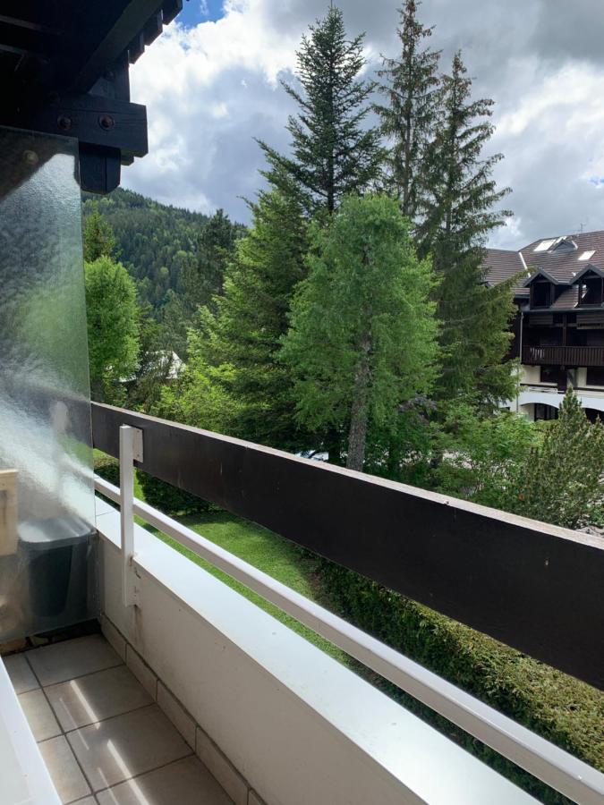 Villard De Lans Appartement 27M2 Coeur Du Village Kültér fotó